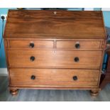 A 19thC mahogany bureau with replacement knobs and ivory escutcheon and fitted interiors. 119 w x 55