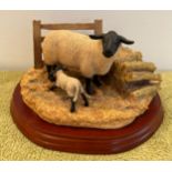 Border Fine Arts 'Farming Today' Suffolk Ewe and Lamb. A8950. With box. 20 x 17cm.Condition