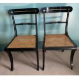 A pair of ebonised Trafalgar chairs maker N T Osbourne. Cane seats, brass inlay and sabre legs to