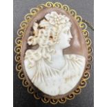 A carved shell cameo brooch in a 9ct gold mount with safety chain 6 x 4.5cm. Total weight 18gm.