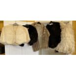 Five capes to include a black Ostrich feather cape and a white Ostrich feather cape and 3 x fur