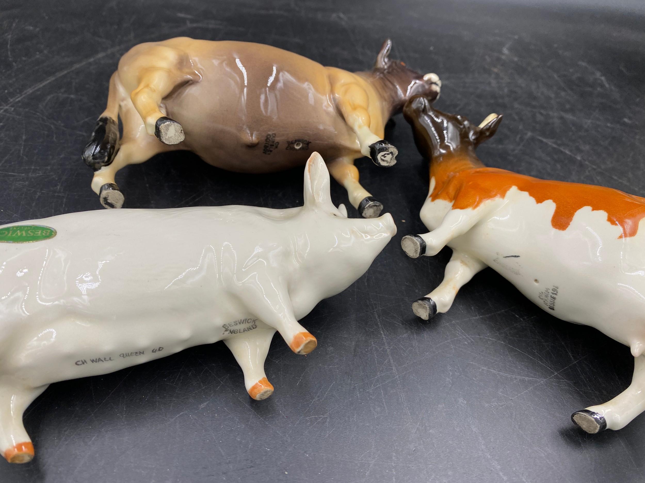 Five pieces of Beswick to include CH. Dunsley Coyboy (Jersey cow), CH. Ickham Bessie (Ayrshire cow), - Image 3 of 3