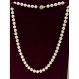 Cultured pearl necklace with 18 carat gold clasp. 44cm long.