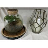 Terrarium with cork lid containing living plants approx 32cm h on an unassociated ceramic base and