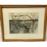 Pencil drawing of wild flowers through a fence signed by Olwen Jones image size 35cm x 49cm, frame