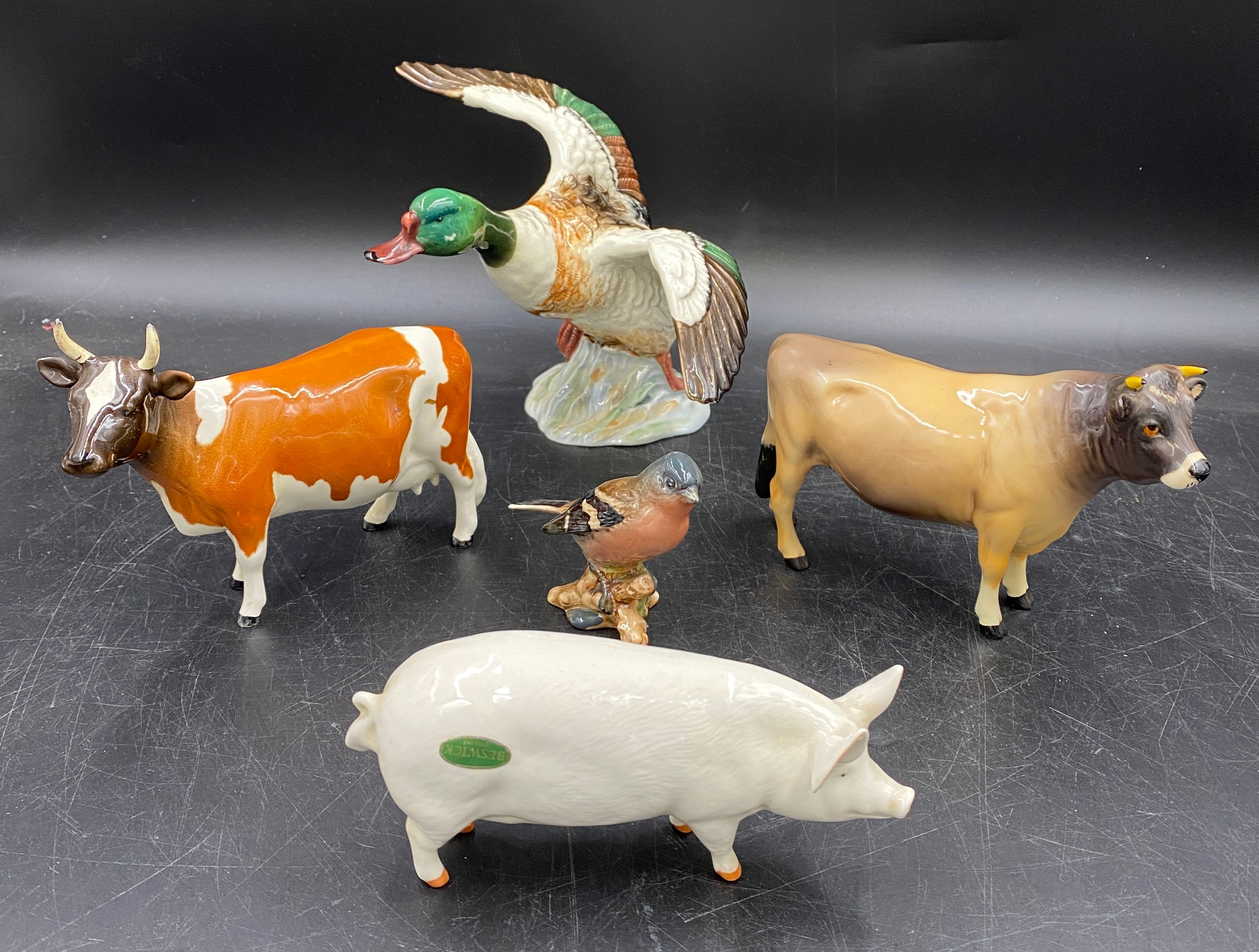 Five pieces of Beswick to include CH. Dunsley Coyboy (Jersey cow), CH. Ickham Bessie (Ayrshire cow),