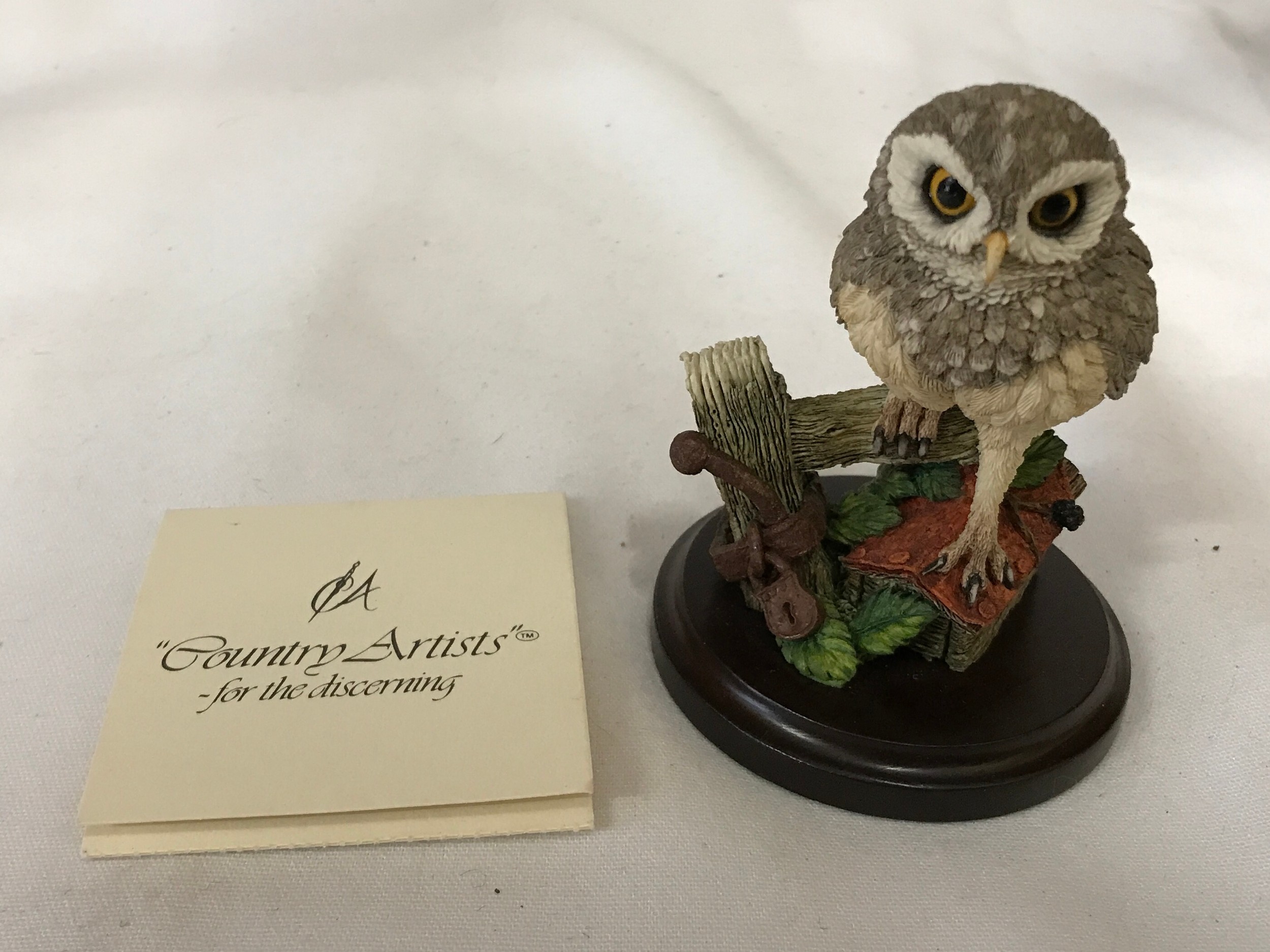 Collection of three Owl models to include Border Fine Art Finesse - Barn Owl and Gothic window, - Image 4 of 8