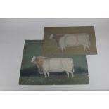 19th / early 20th century school, two unframed naive paintings of cattle, both unsigned, largest