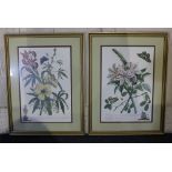 Two gilt framed reproduction botanical prints of lilies, iris and butterflies, 40.5cm by 27.5cm,