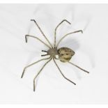 A large costume jewellery spider brooch 6.5cm wide
