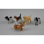 Five small Beswick models of dogs comprising corgi, labrador, two spaniels and a beagle