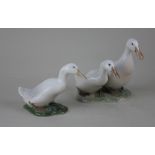 A Royal Copenhagen porcelain figure group of two white ducks 13.5cm high, and another of one white