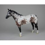A Beswick model of an Appaloosa horse 20.5cm high