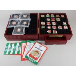 Welsh Rugby Victory pin collection, a collection of reproduction Welsh rugby pins, in case