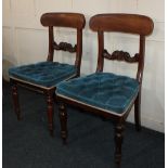 A pair of Victorian dining chairs with carved scroll bar backs and blue button upholstered seats