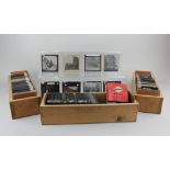 A collection of glass slides in three wooden boxes, subjects include Charles II Coach, Sheep and