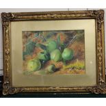E Minot (Victorian school), still life of green apples amongst earth and moss, watercolour, signed