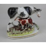 A Staffordshire pottery cow and calf group 13cm high, together with a Staffordshire pottery model of