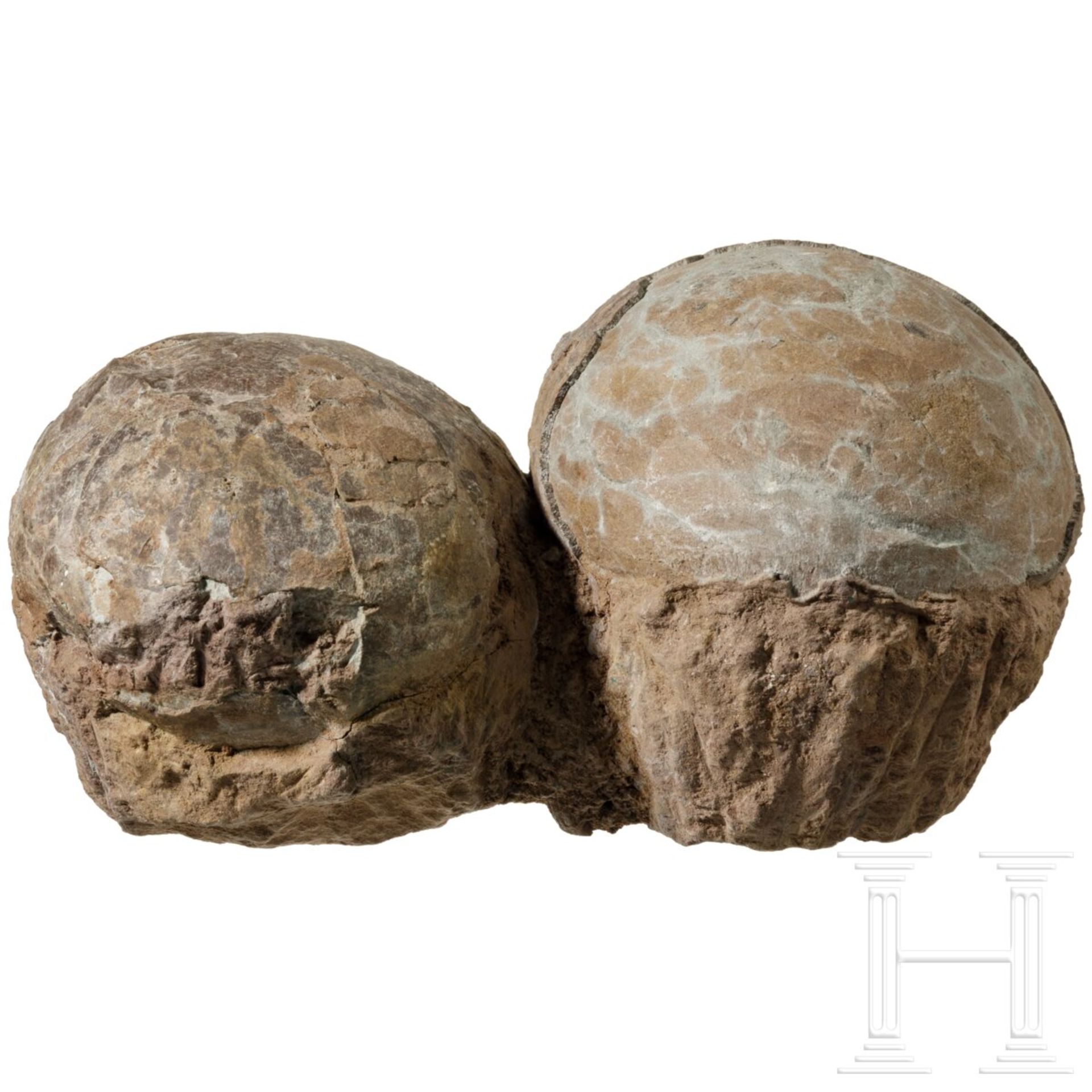 Ein Paar Dinosaurier-Eier, Trias bis Kreidezeit - Image 3 of 5