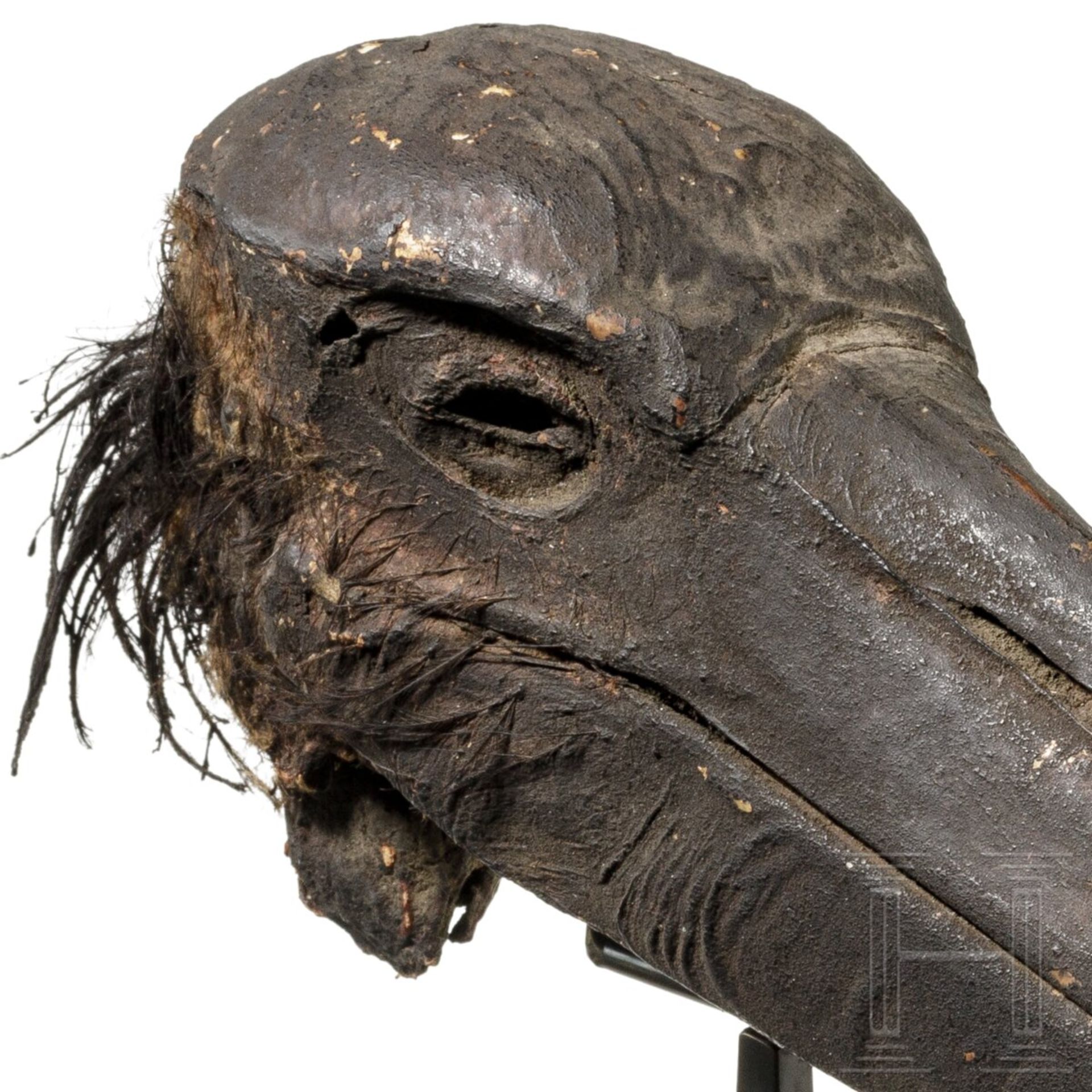Mumifizierter Kopf eines Storchs, Spätzeit, 664 - 332 v. Chr. - Bild 4 aus 4