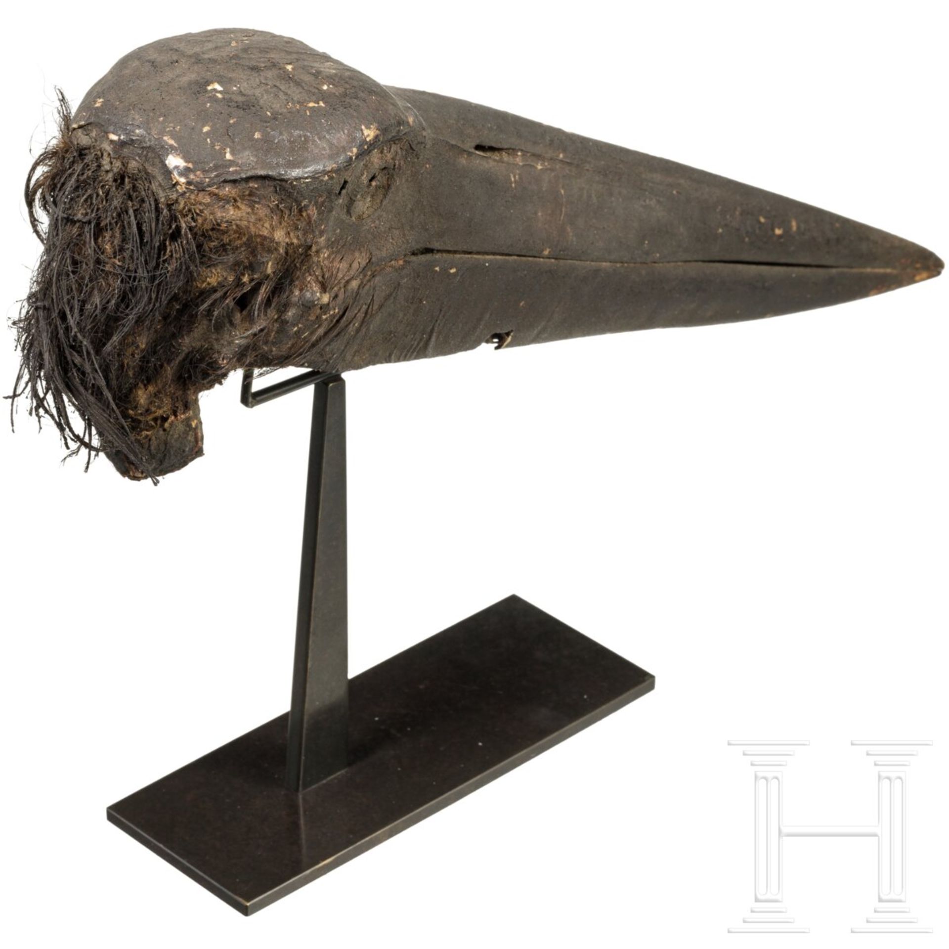 Mumifizierter Kopf eines Storchs, Spätzeit, 664 - 332 v. Chr. - Bild 3 aus 4
