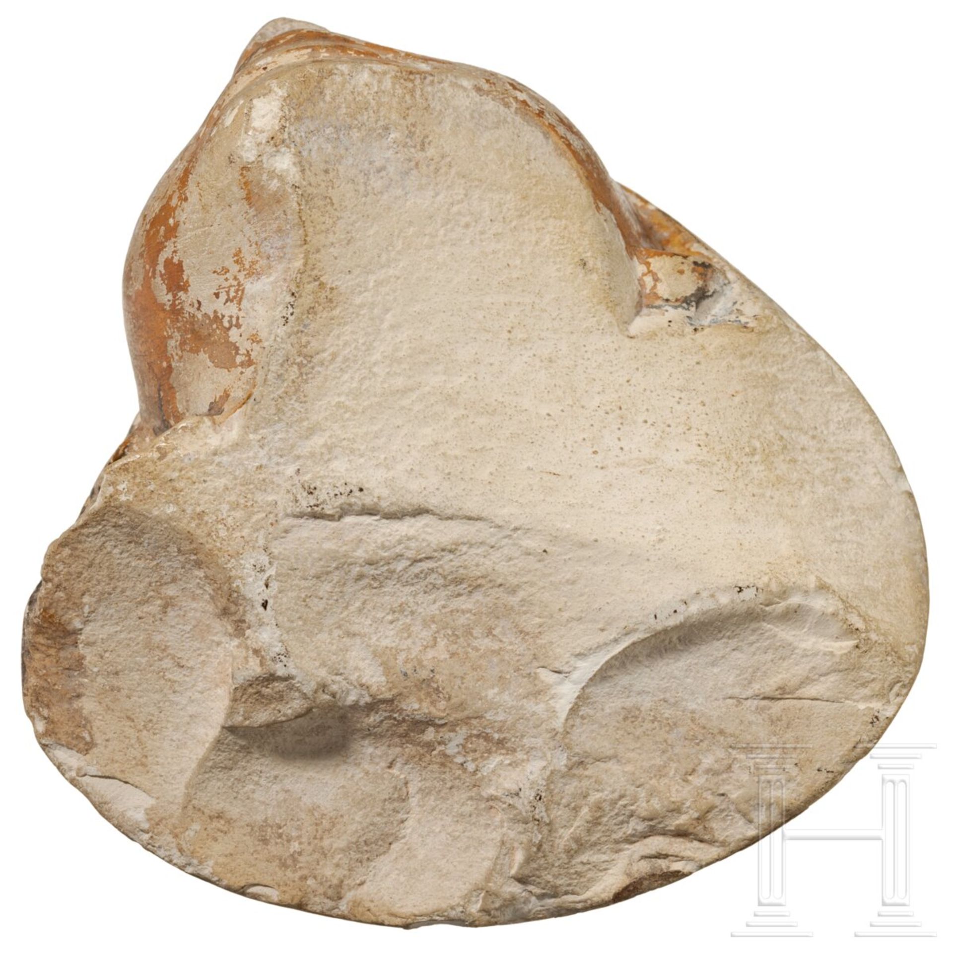Imset-Kanopendeckel, Kalkstein, Ägypten, 2. - 1. Jtsd. v. Chr.  - Bild 4 aus 4