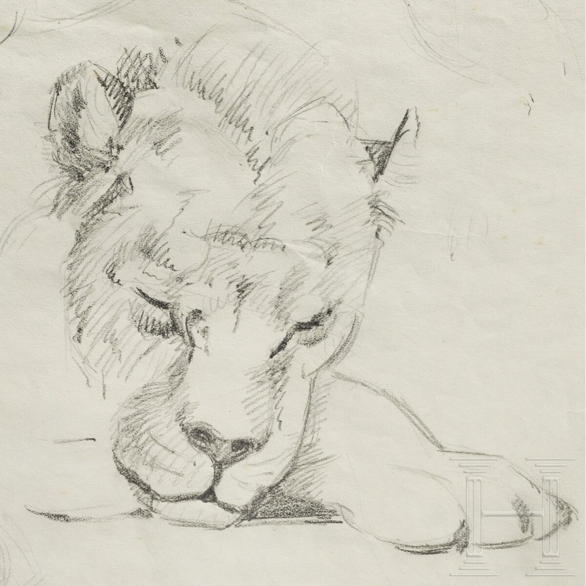 Erzherzog Rudolf von Österreich - Bleistiftstudien zu afrikanischen Tierarten, um 1880 - Image 3 of 3