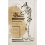 Anatomie nach Vesalius -- ''No