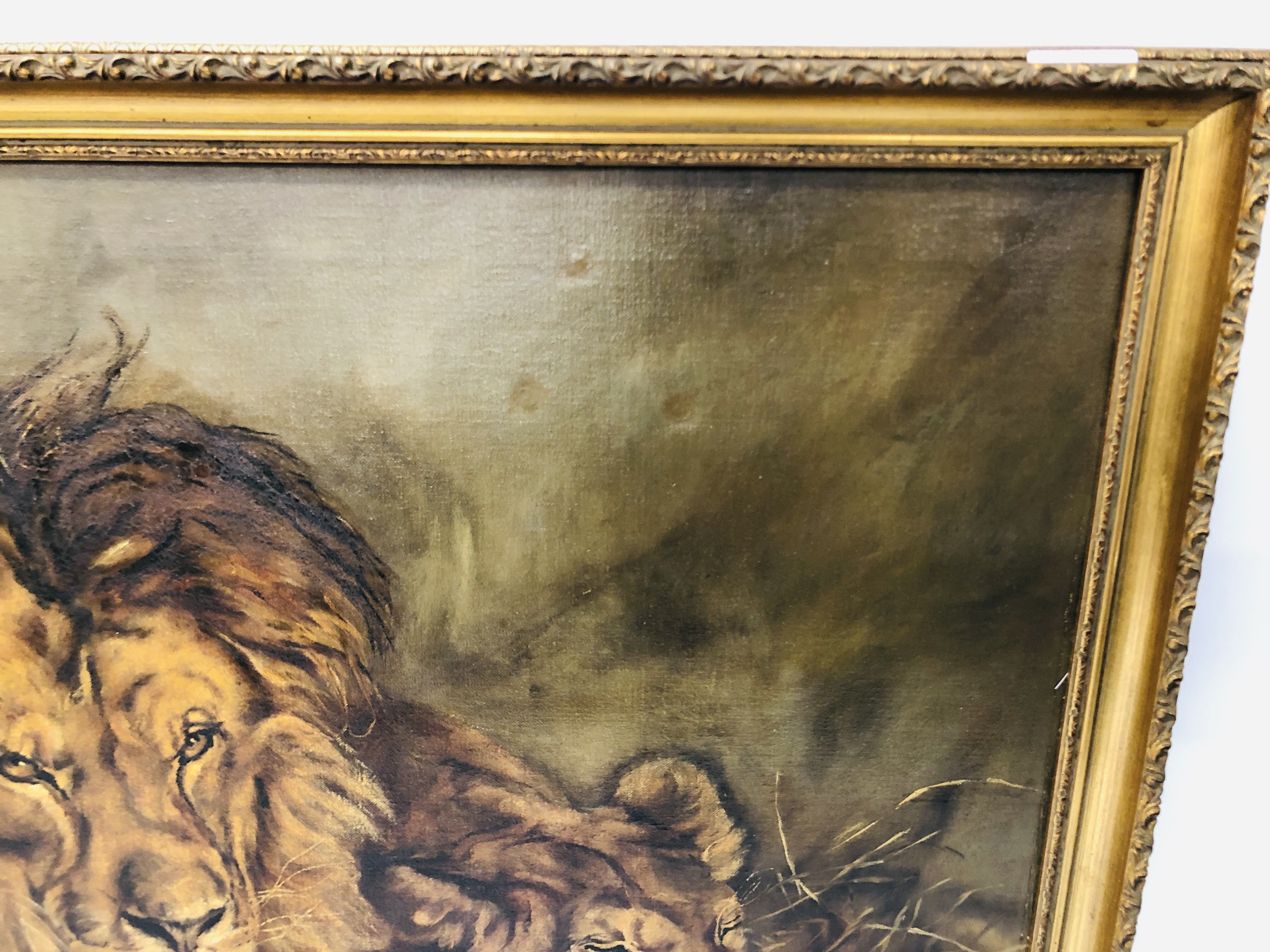OIL ON CANVAS LION & LIONESS DETAILS TO REVERSE (PAINTED FROM A PICTURE HALF THIS SIZE BY E.G. - Bild 4 aus 5