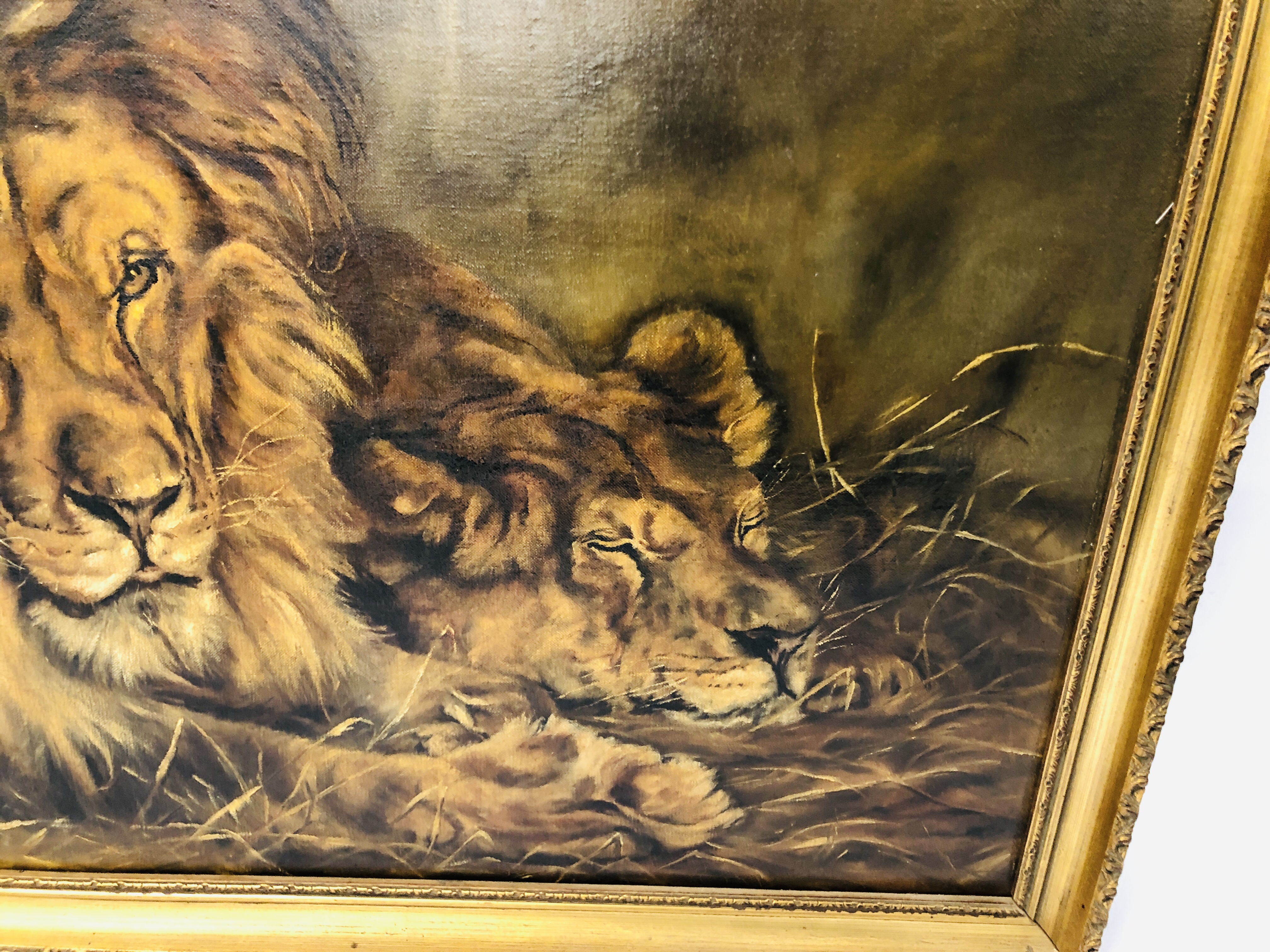 OIL ON CANVAS LION & LIONESS DETAILS TO REVERSE (PAINTED FROM A PICTURE HALF THIS SIZE BY E.G. - Bild 3 aus 5