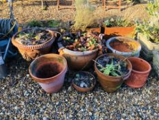 A GROUP OF SEVEN CIRCULAR TERRACOTTA PLANTERS VARIOUS SHAPES AND SIZES.
