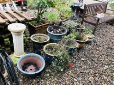TEN VARIOUS GARDEN PLANTERS - MOSTLY GLAZED ALONG WITH A PEDESTAL STAND.