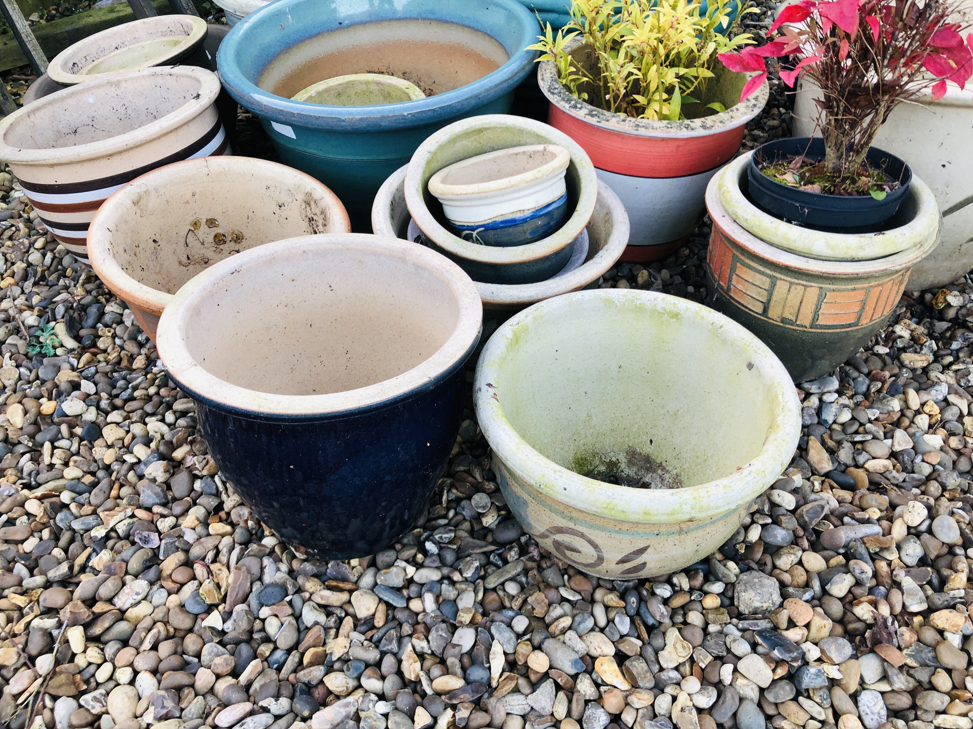 20 GLAZED FLOWER POTS AND PLANTERS AND 3 OTHER PLASTIC POTS CONTAINING PLANTS TO INCLUDE A PHOTINIA - Image 5 of 6