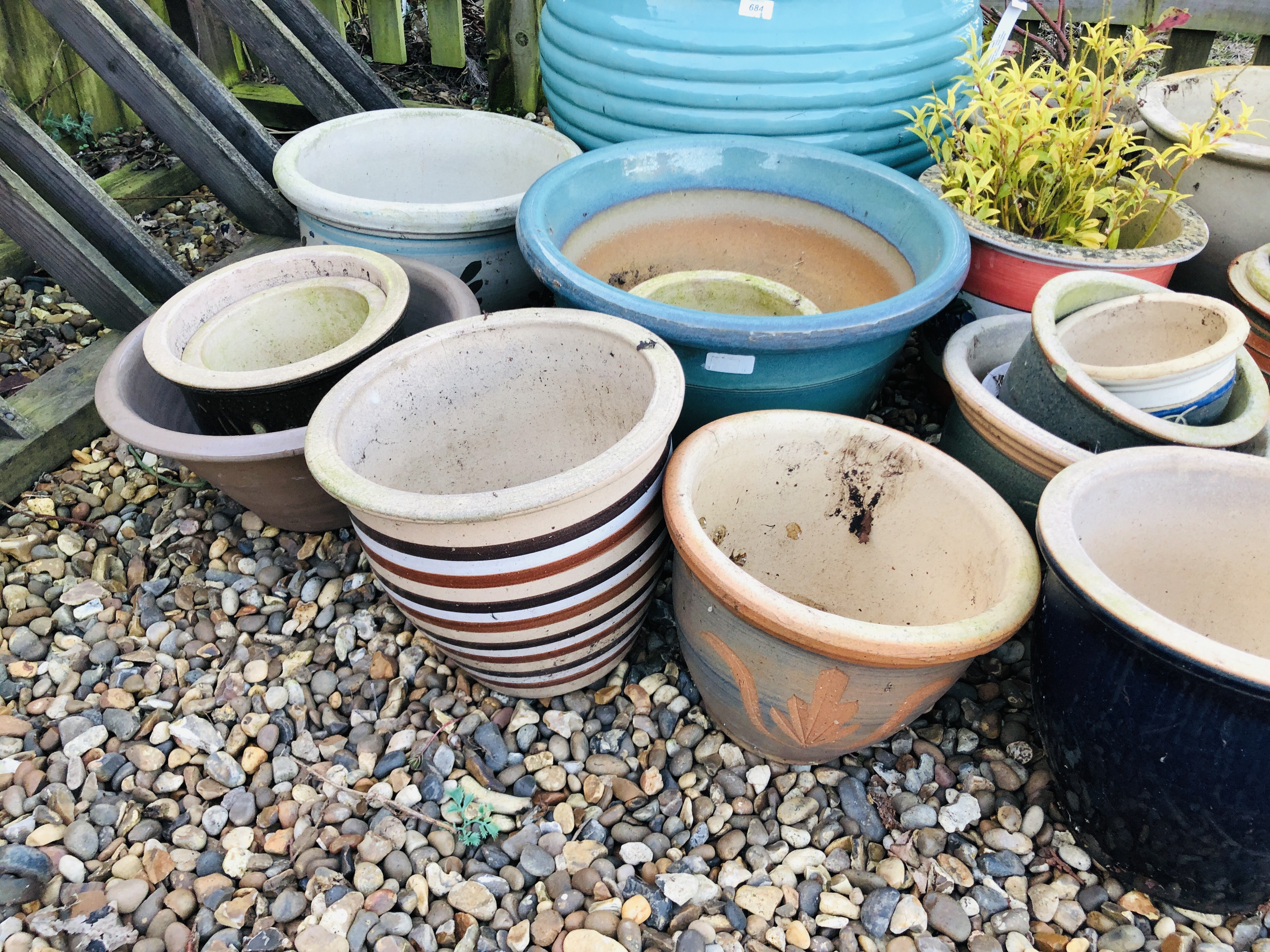 20 GLAZED FLOWER POTS AND PLANTERS AND 3 OTHER PLASTIC POTS CONTAINING PLANTS TO INCLUDE A PHOTINIA - Image 4 of 6