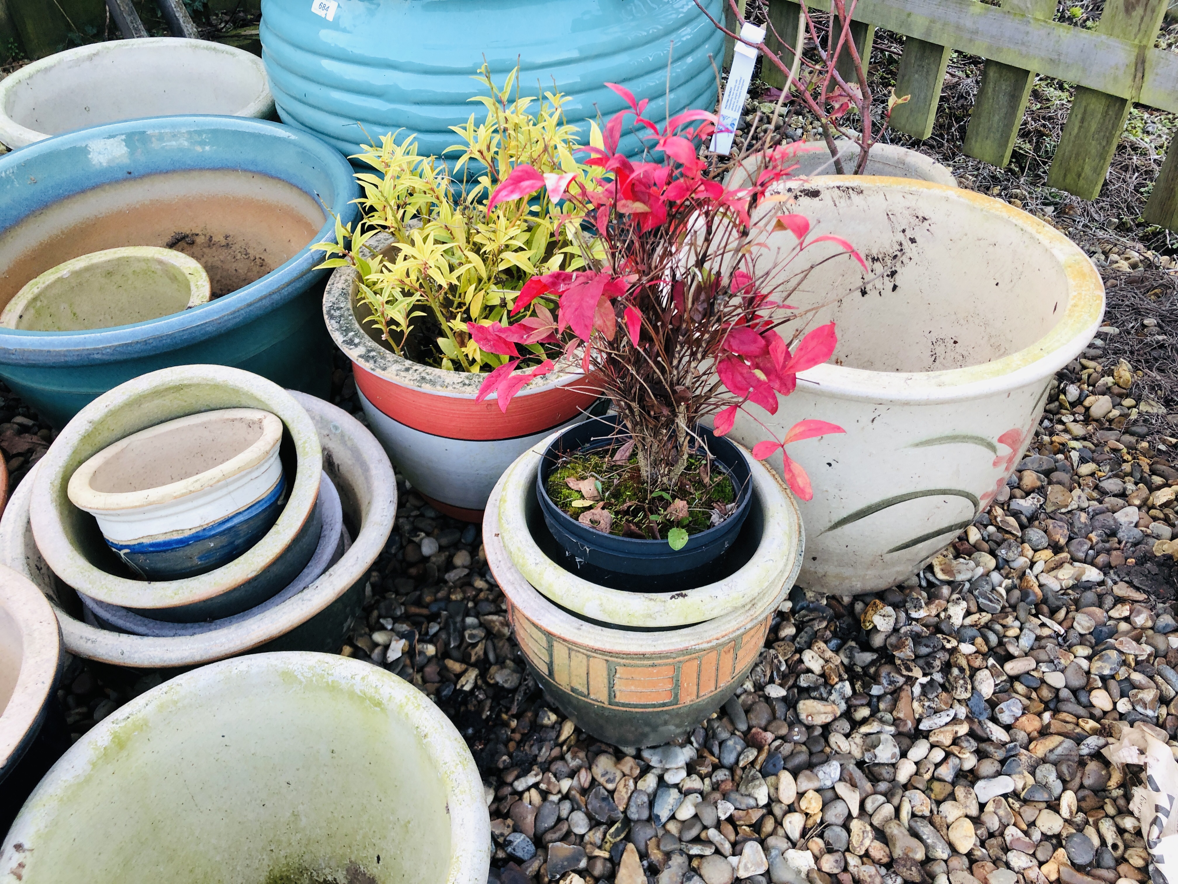 20 GLAZED FLOWER POTS AND PLANTERS AND 3 OTHER PLASTIC POTS CONTAINING PLANTS TO INCLUDE A PHOTINIA - Image 6 of 6