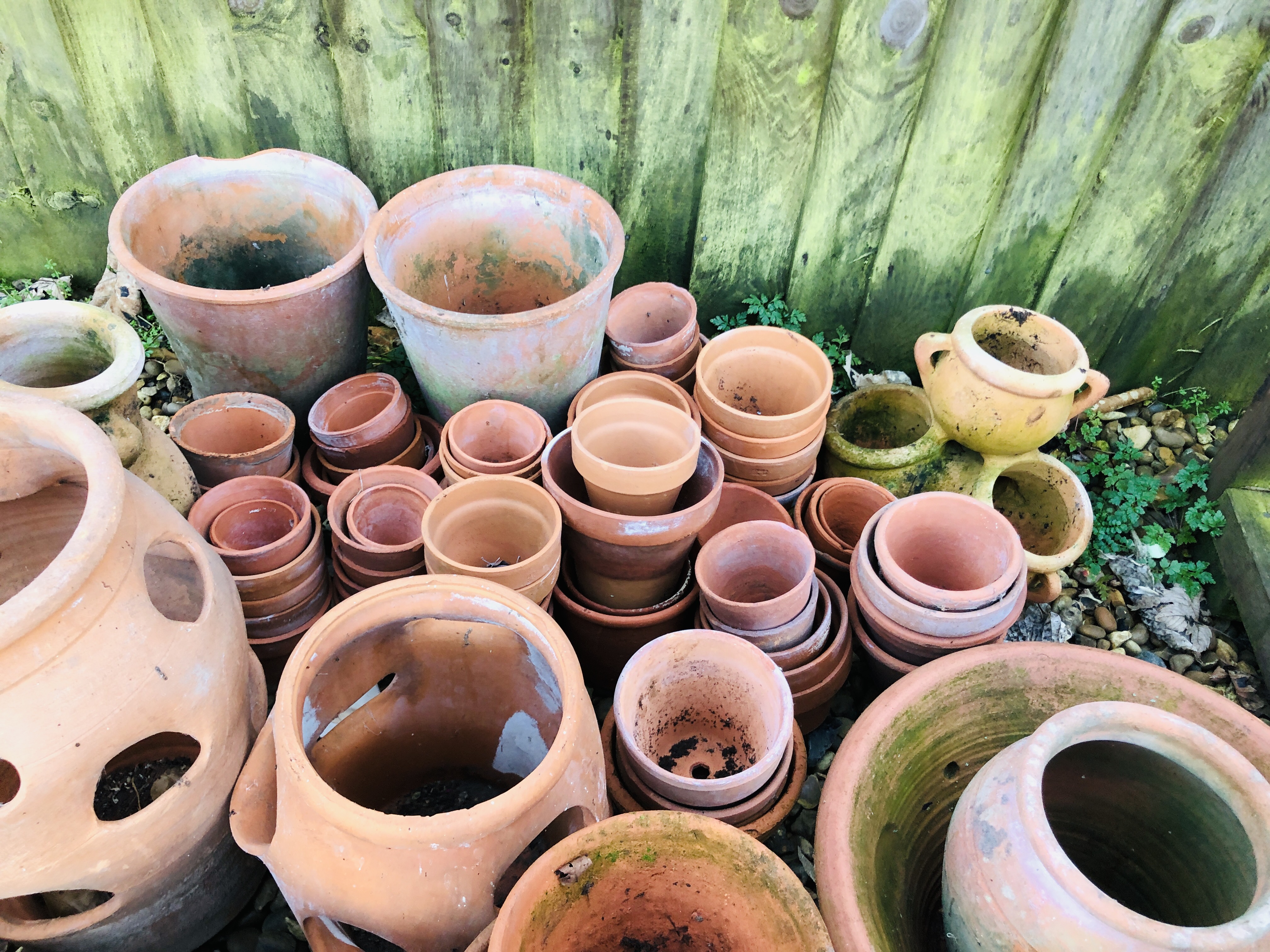 A LARGE COLLECTION OF TERRACOTTA PLANTERS, POTS, - Image 4 of 6