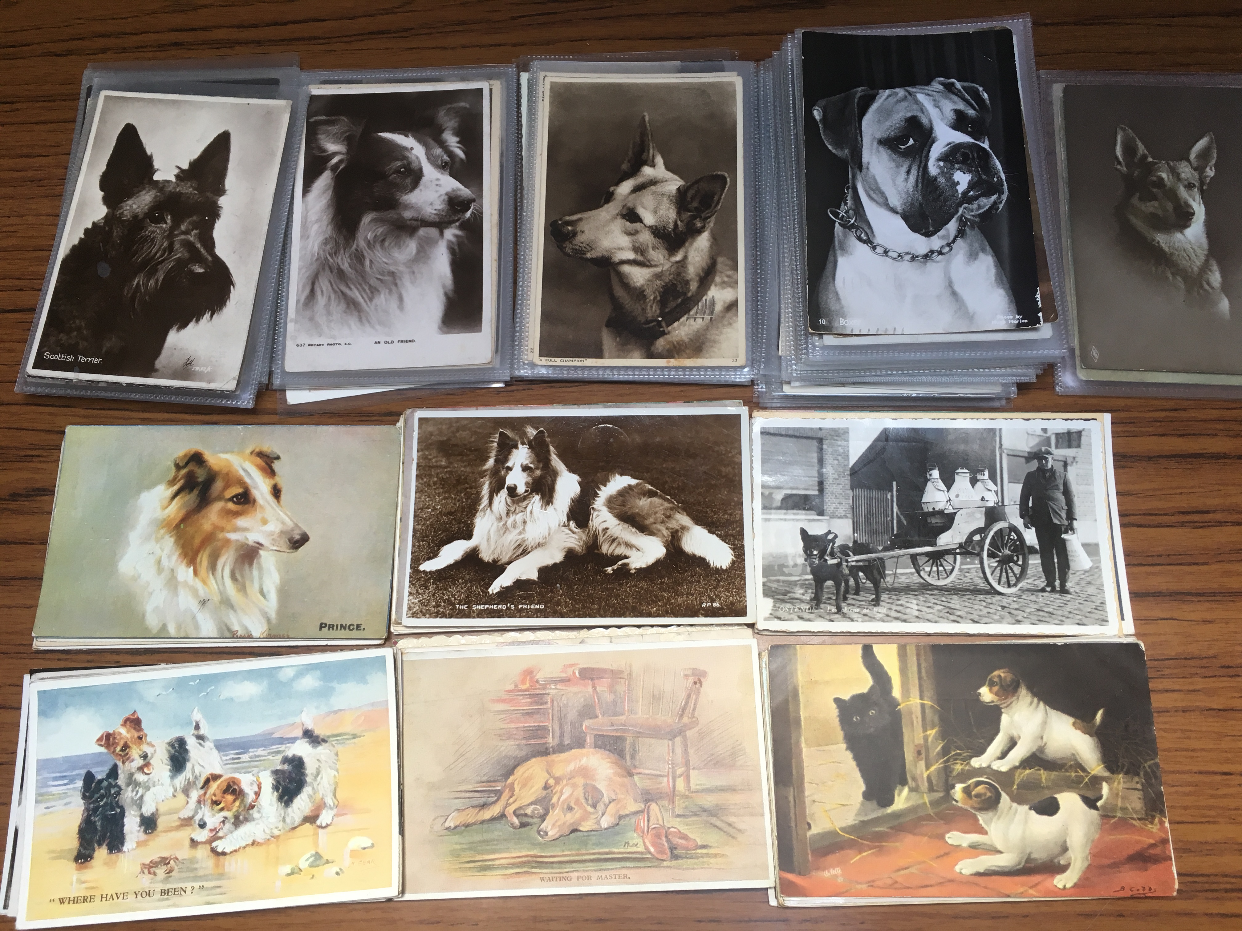 PACKET OF POSTCARDS SHOWING DOGS INCLUDING ART TYPES (APPROX 165)