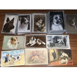 PACKET OF POSTCARDS SHOWING DOGS INCLUDING ART TYPES (APPROX 165)