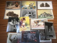 PACKET OF POSTCARDS SHOWING CATS INCLUDING ART TYPES (APPROX 135)