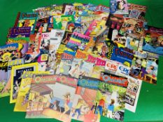 A COLLECTION OF ADULT COMICS.