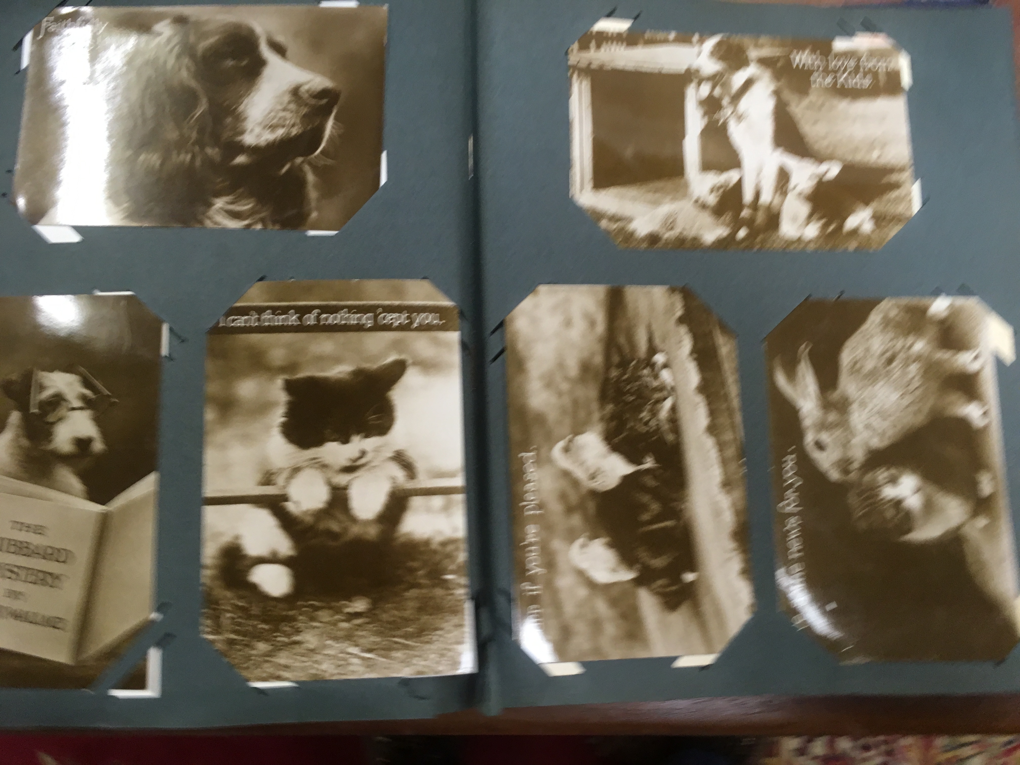 TUB OF POSTCARDS IN SIX OLD CORNER SLOT ALBUMS. - Image 3 of 5