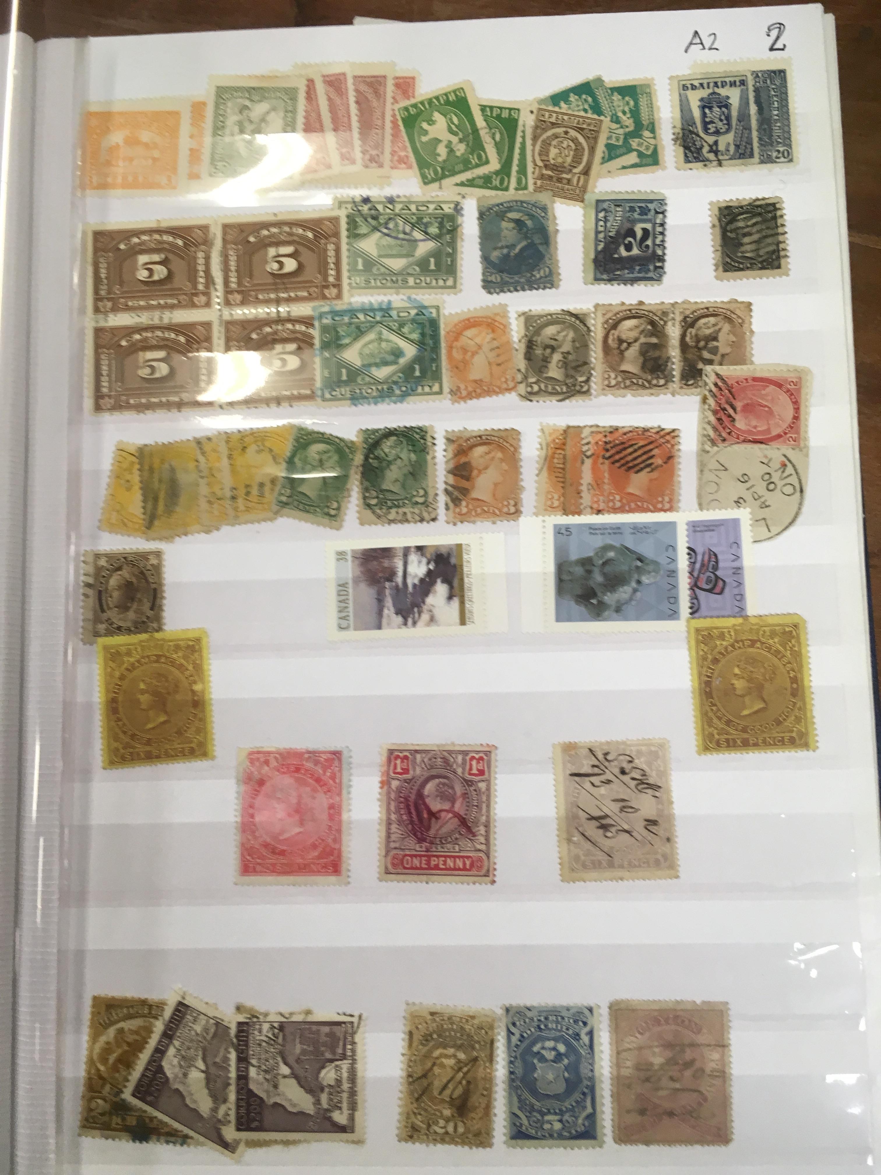 BOX STAMPS IN ELEVEN STOCKBOOKS, FOREIGN, BACK OF BOOK, REVENUES ETC. - Image 2 of 7