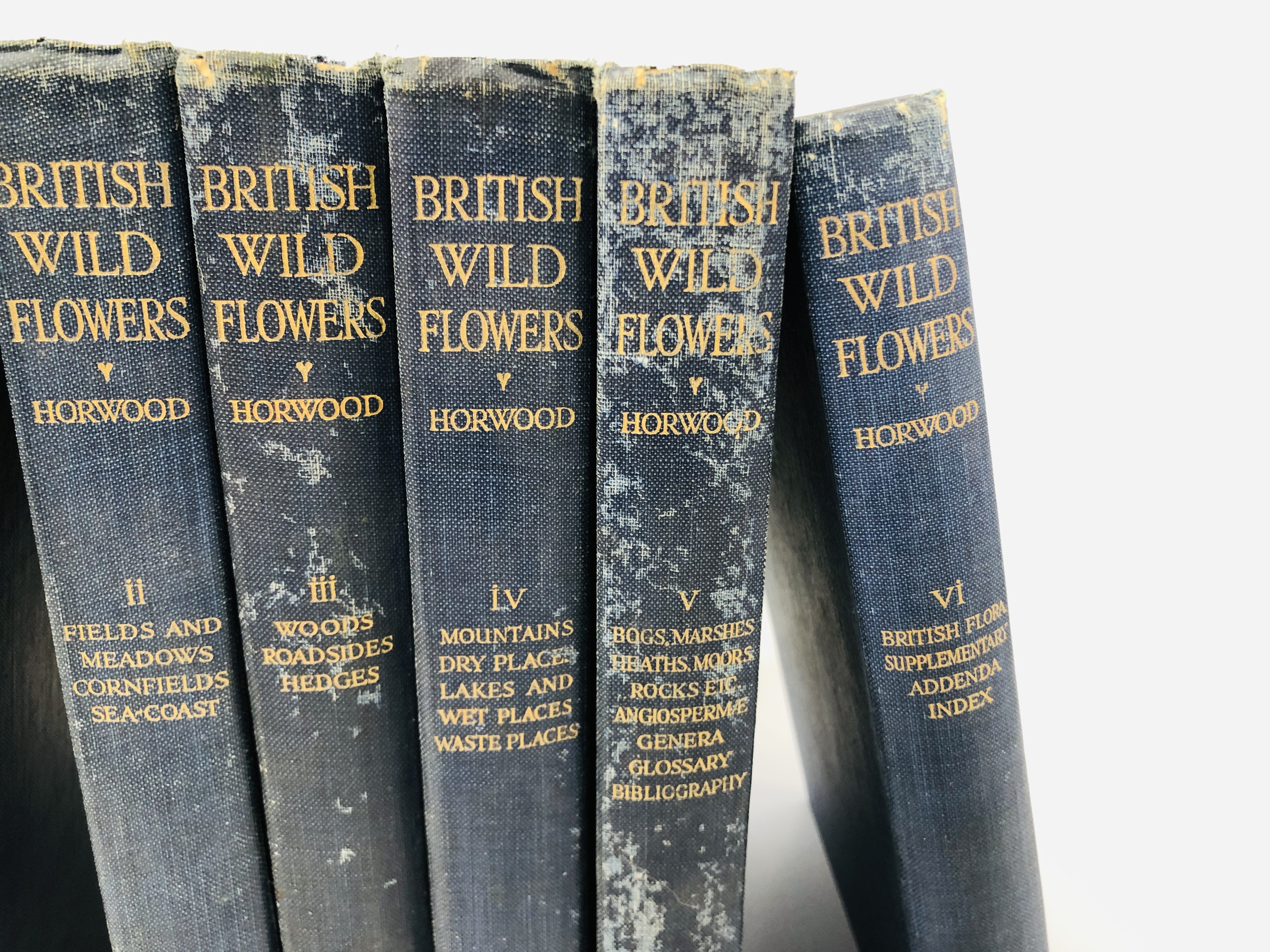 SET OF SIX HARDBACK BOOKS "BRITISH WILD FLOWERS" BY HORWOOD. - Image 3 of 5