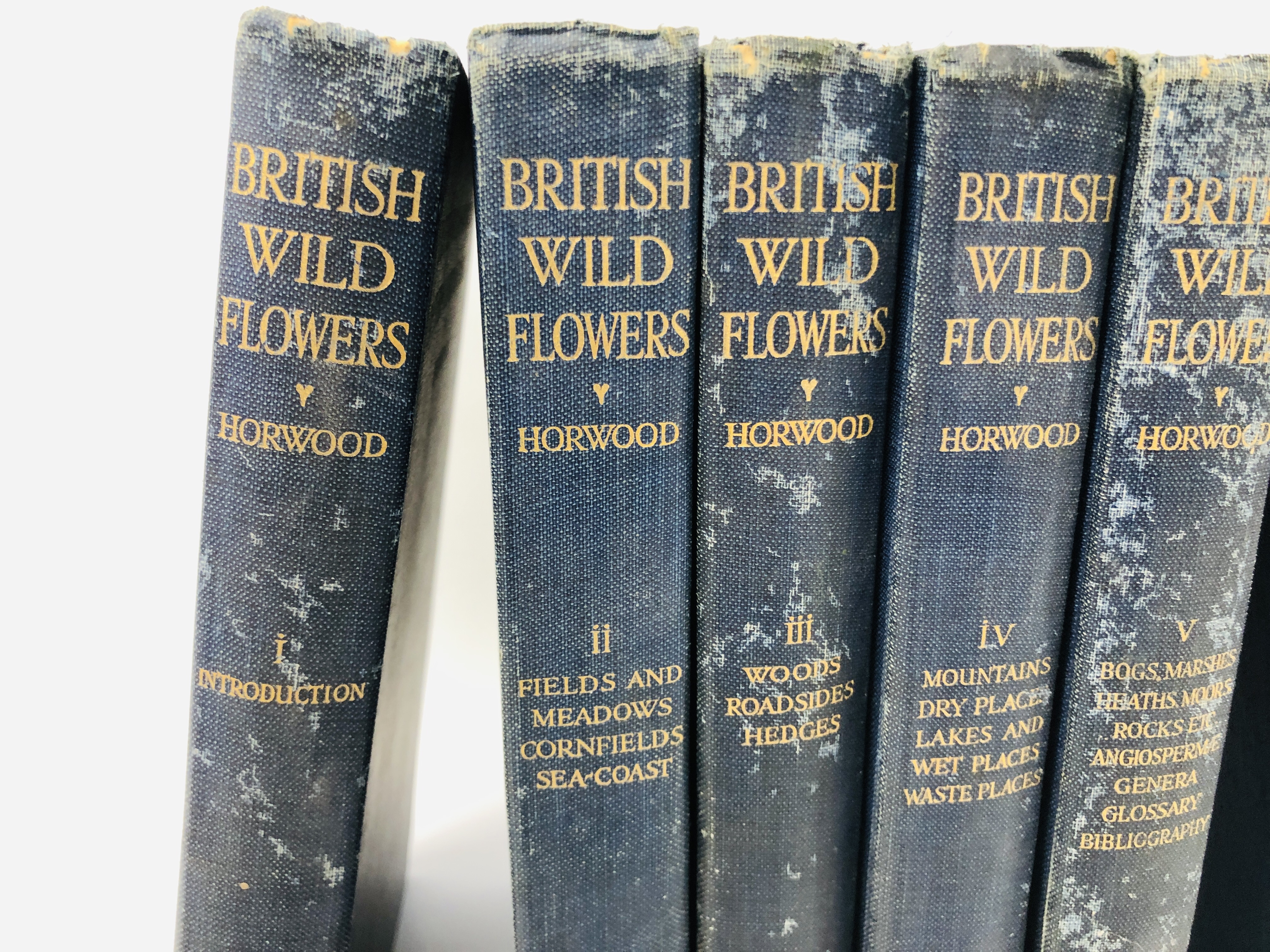 SET OF SIX HARDBACK BOOKS "BRITISH WILD FLOWERS" BY HORWOOD. - Image 2 of 5