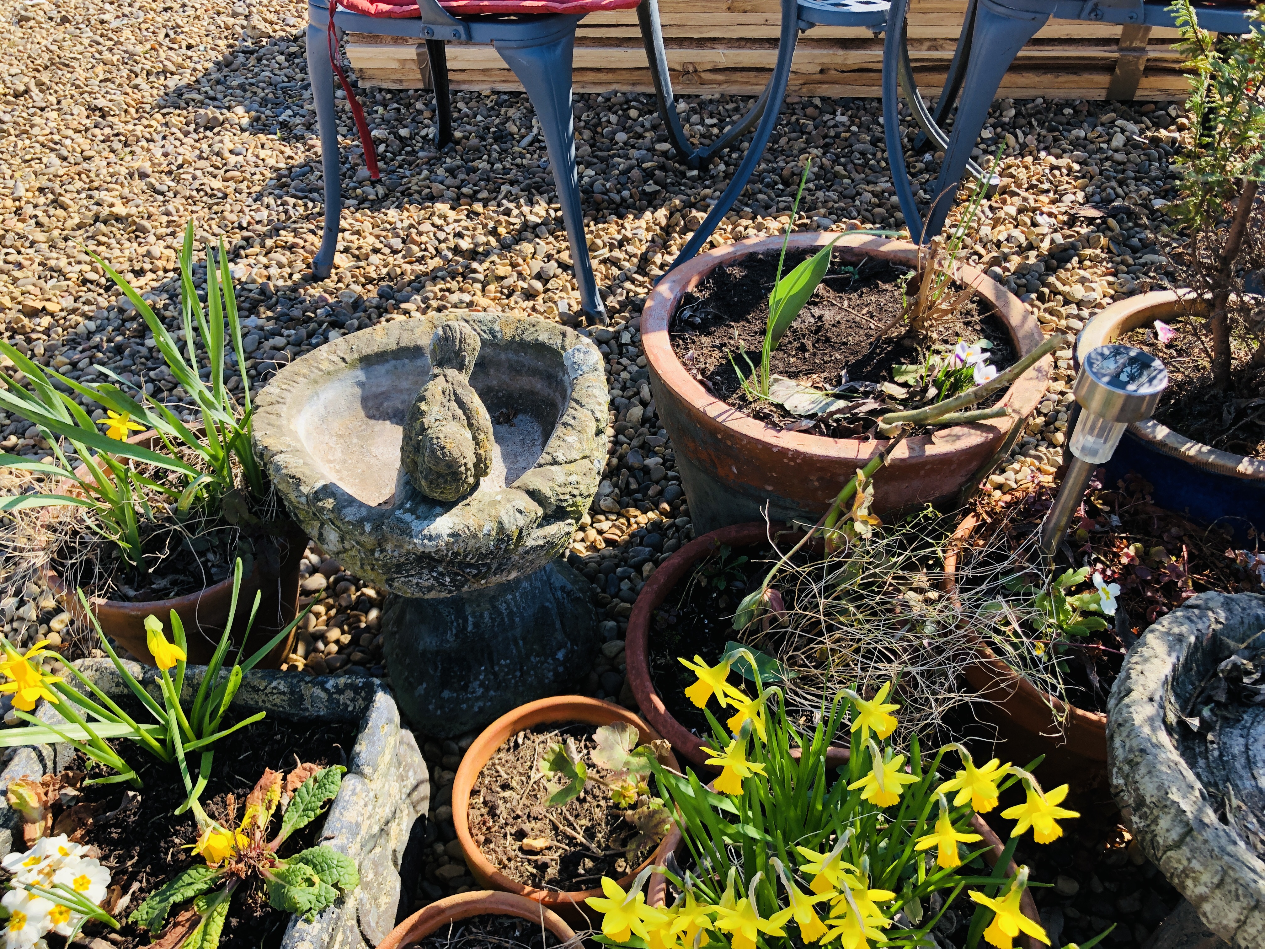 COLLECTION OF 13 GARDEN PLANTERS TO INCLUDE BRICK EFFECT, TERRACOTTA, GLAZED, ETC. - Image 5 of 5