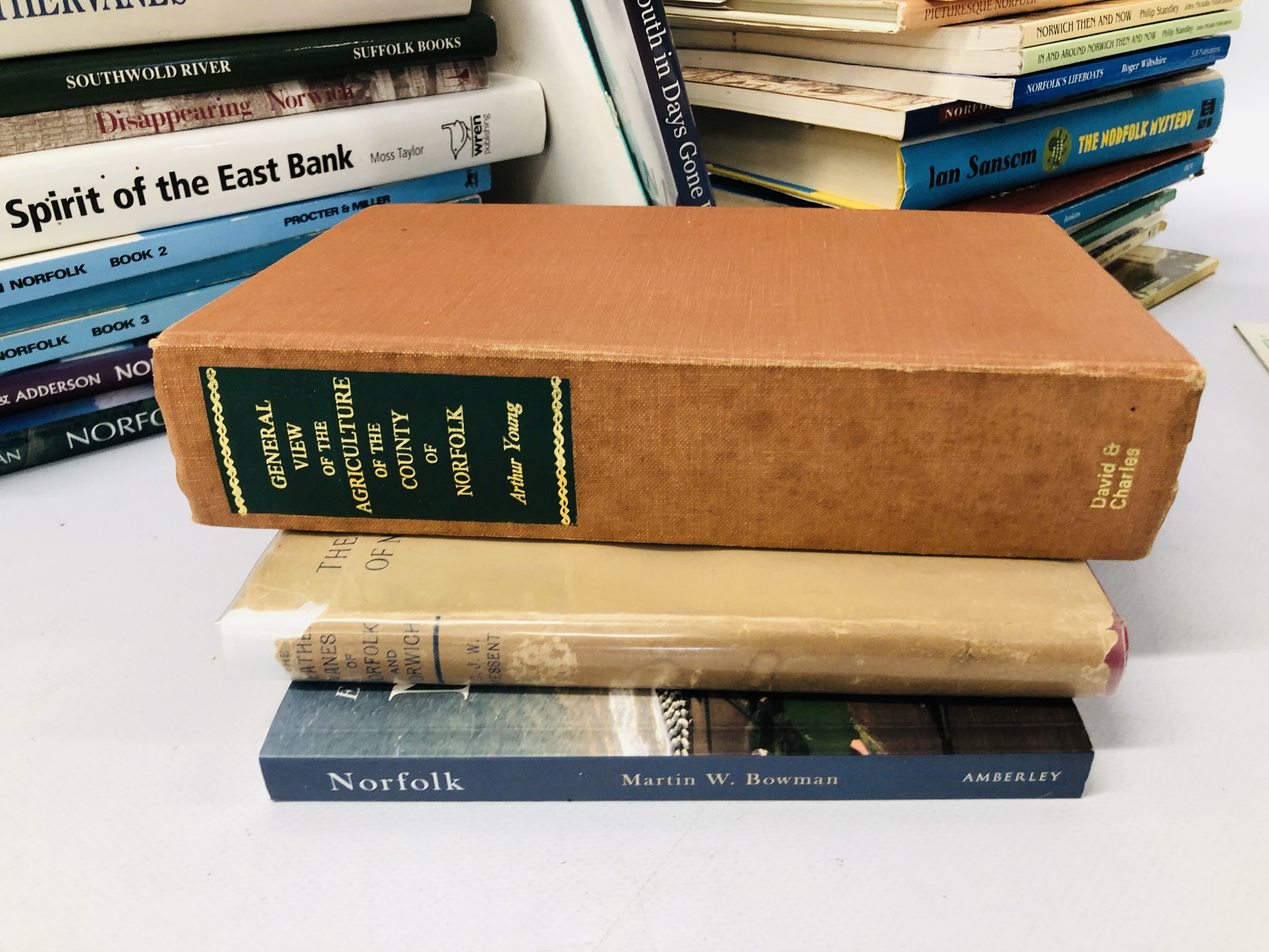 2 X BOXES OF ASSORTED LOCAL INTEREST BOOKS, WEATHER VANES OF NORFOLK AND NORWICH. - Image 4 of 5