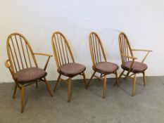 4 BLONDE ERCOL DINING CHAIRS TO INCLUDE 2 CARVERS