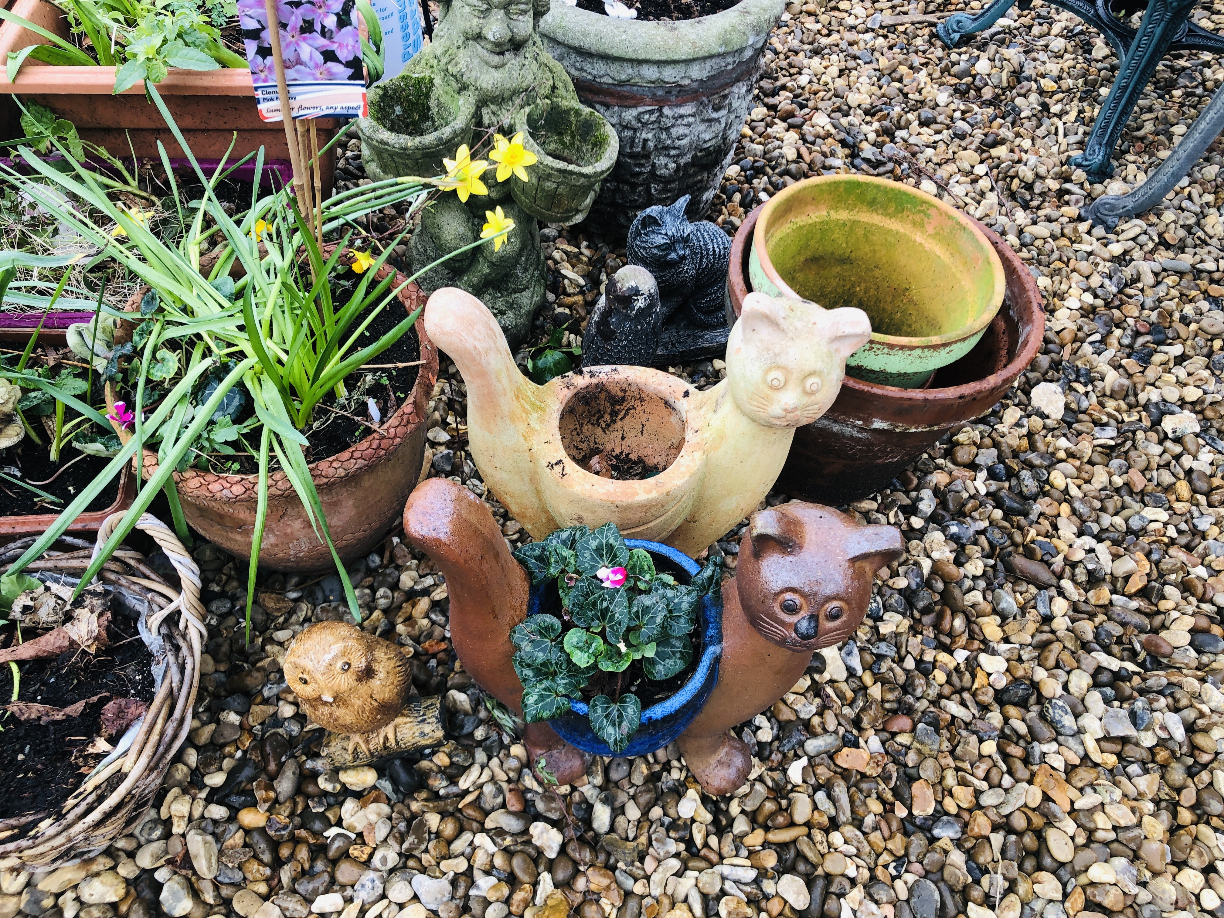AN ASSORTMENT OF VARIOUS SHAPES AND SIZES POTTED PLANTS TO INCLUDE HANGING BASKETS, TERRACOTTA, - Image 2 of 7