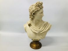 RESIN BUST OF APOLLO OVERALL HEIGHT 56CM.