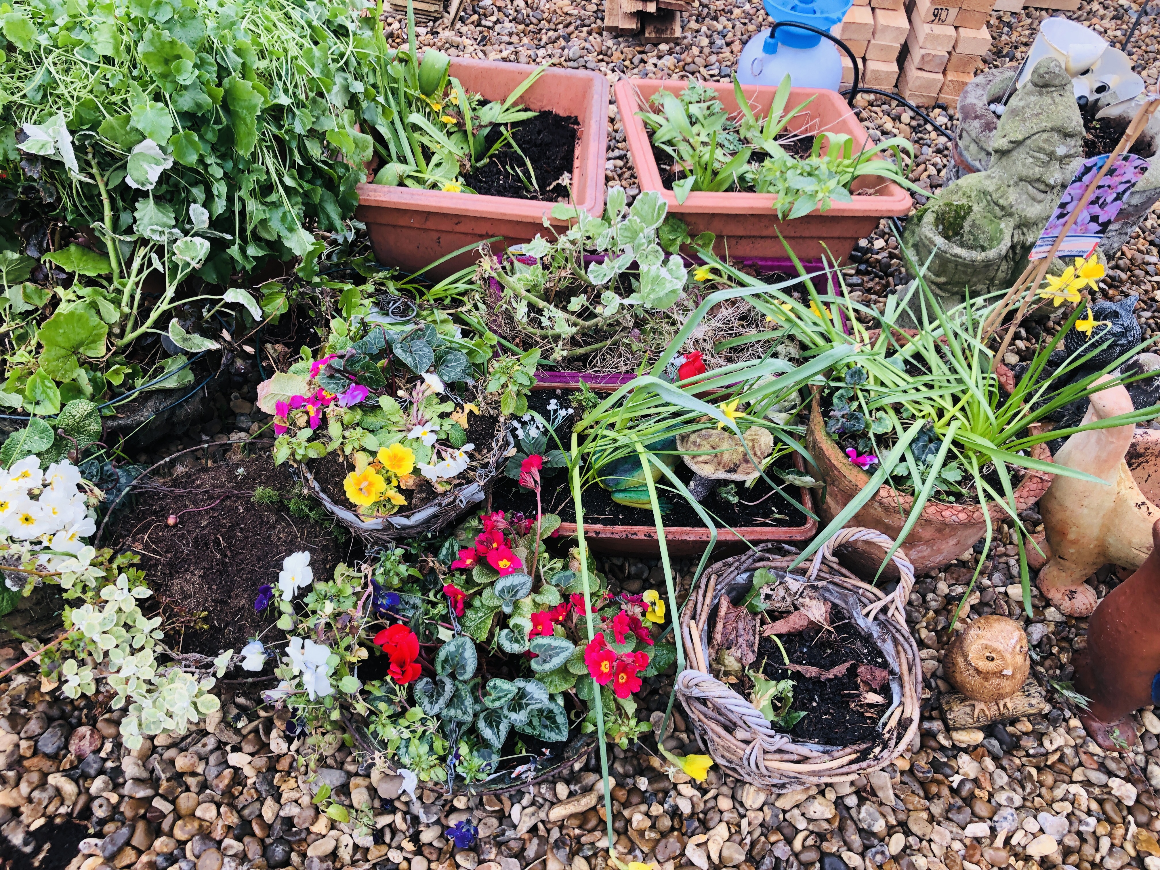 AN ASSORTMENT OF VARIOUS SHAPES AND SIZES POTTED PLANTS TO INCLUDE HANGING BASKETS, TERRACOTTA, - Image 4 of 7